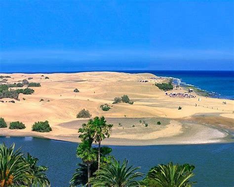 mas palomas rolex|Maspalomas, Spain: All You Need to Know Before You Go (2024 .